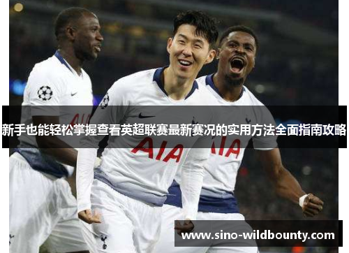 新手也能轻松掌握查看英超联赛最新赛况的实用方法全面指南攻略