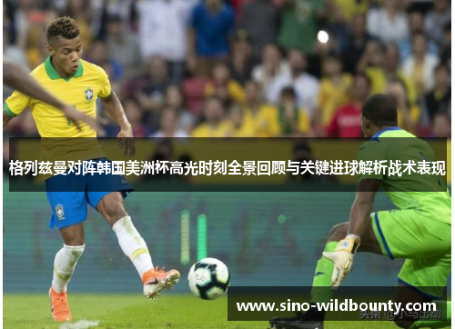 格列兹曼对阵韩国美洲杯高光时刻全景回顾与关键进球解析战术表现